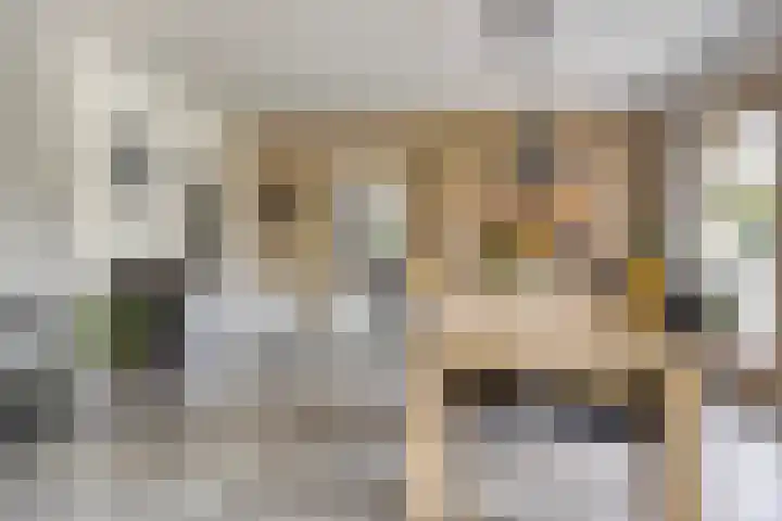 Heiweg 6 Nuland thumbnail 5