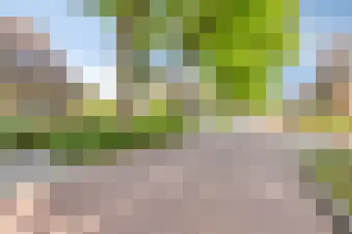 Heiweg 6 Nuland thumbnail 58