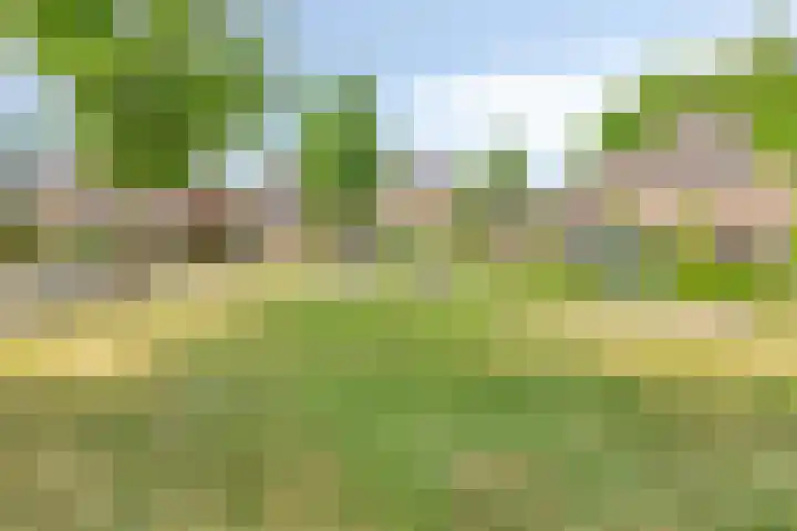 Heiweg 6 Nuland thumbnail 64