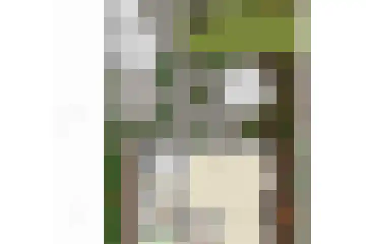 Heiweg 6 Nuland thumbnail 66