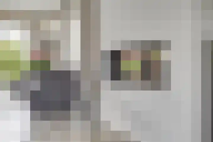 Heiweg 6 Nuland thumbnail 8