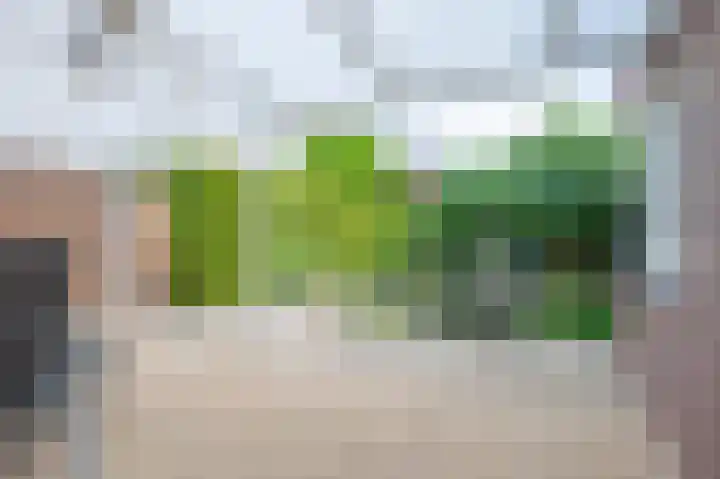 Hekerbeek 34 Geleen thumbnail 17