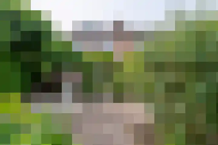Hekerbeek 34 Geleen thumbnail 34
