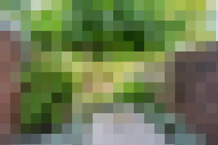 Helbeek 171 Venlo thumbnail 31