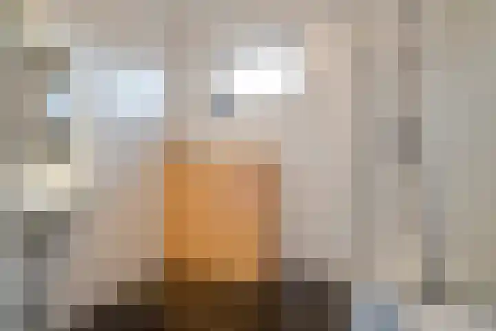 Heldens van de Mortellaan 14 Beesel thumbnail 22