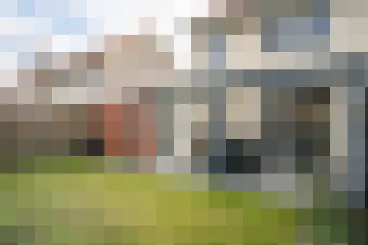 Heldens van de Mortellaan 14 Beesel thumbnail 27