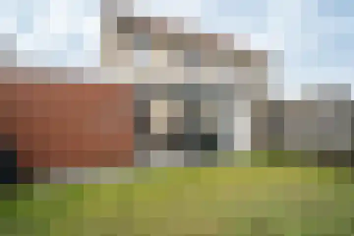 Heldens van de Mortellaan 14 Beesel thumbnail 28