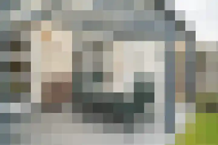 Heldens van de Mortellaan 14 Beesel thumbnail 29