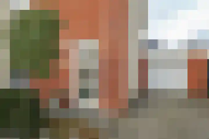 Heldens van de Mortellaan 14 Beesel foto 3