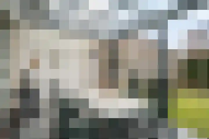 Heldens van de Mortellaan 14 Beesel thumbnail 30