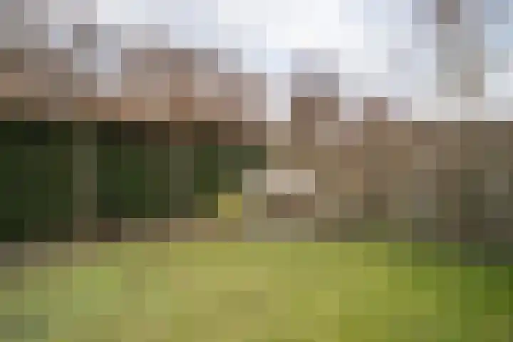 Heldens van de Mortellaan 14 Beesel thumbnail 35