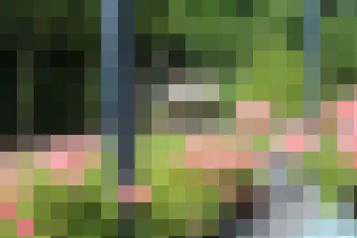 Heldens van de Mortellaan 14 Beesel thumbnail 37