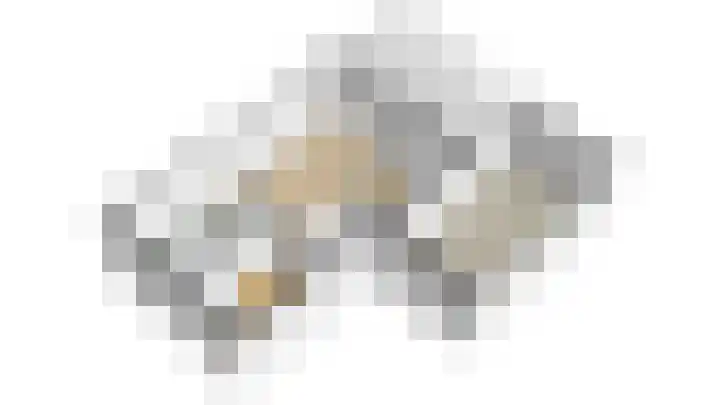 Heldens van de Mortellaan 14 Beesel thumbnail 42