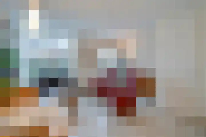 Heldens van de Mortellaan 14 Beesel thumbnail 6