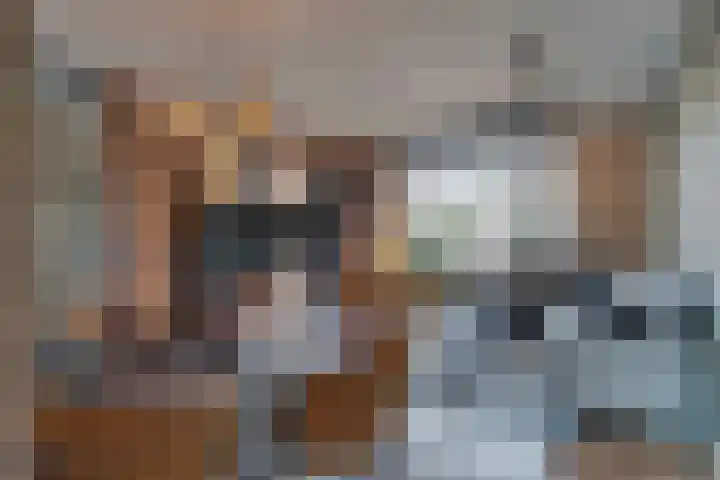 Heldens van de Mortellaan 35 Beesel thumbnail 10