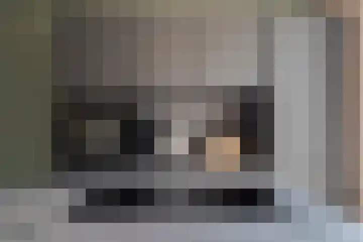 Heldens van de Mortellaan 35 Beesel thumbnail 15