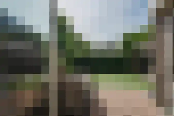 Heldens van de Mortellaan 35 Beesel thumbnail 19