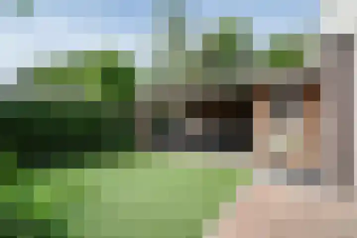 Heldens van de Mortellaan 35 Beesel thumbnail 21