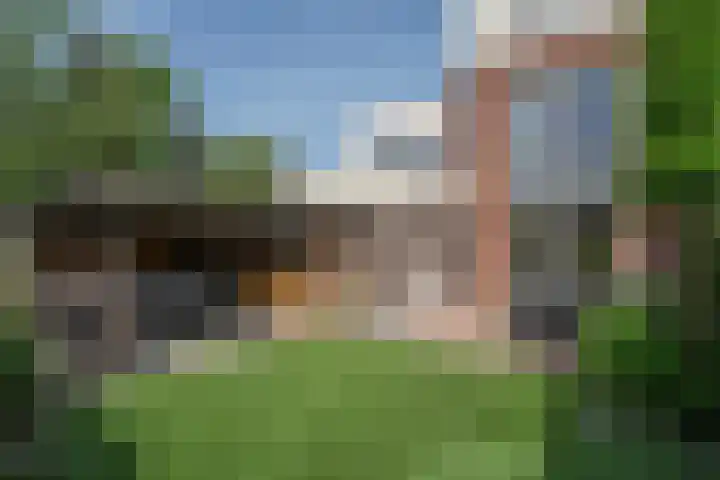 Heldens van de Mortellaan 35 Beesel thumbnail 22