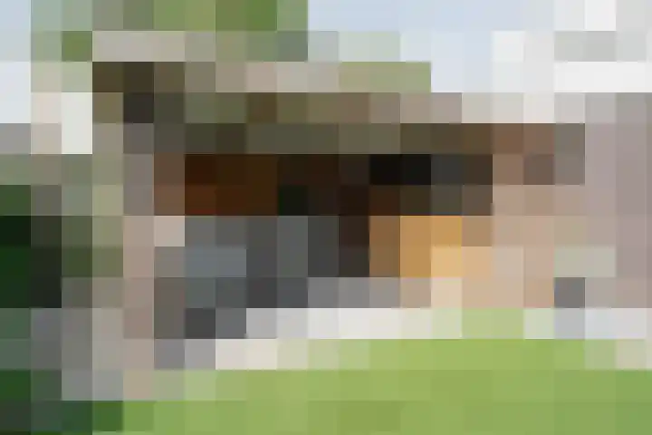 Heldens van de Mortellaan 35 Beesel thumbnail 23