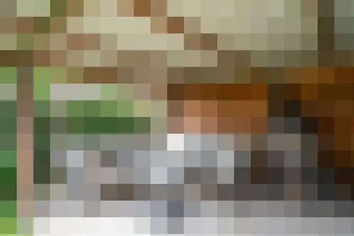 Heldens van de Mortellaan 35 Beesel thumbnail 26