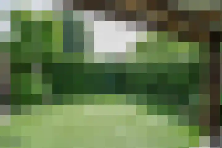 Heldens van de Mortellaan 35 Beesel thumbnail 27