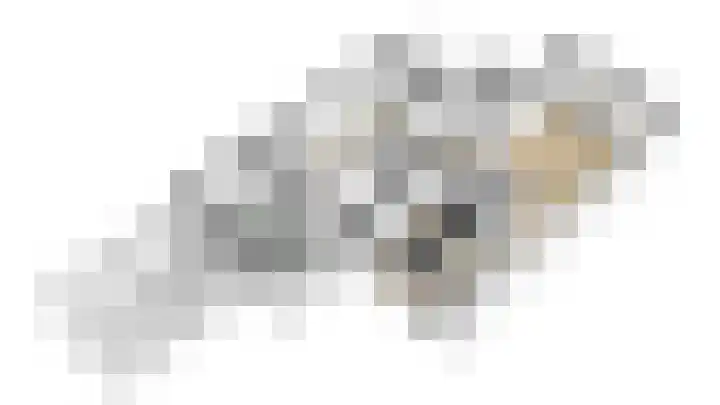 Heldens van de Mortellaan 35 Beesel thumbnail 40