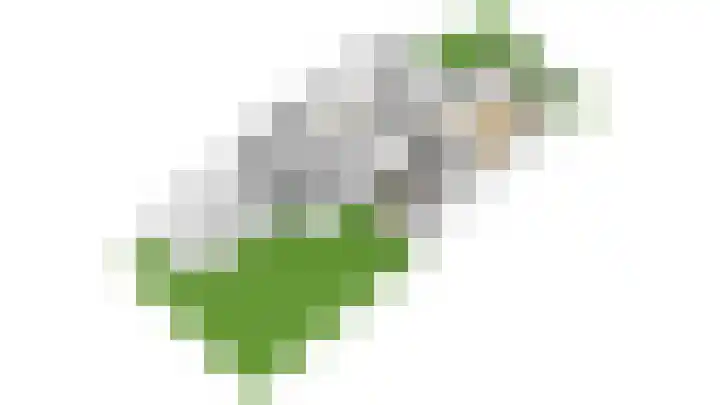 Heldens van de Mortellaan 35 Beesel thumbnail 47