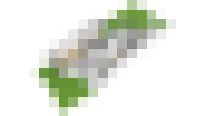 Heldens van de Mortellaan 35 Beesel thumbnail 48