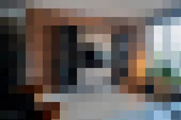 Heldens van de Mortellaan 35 Beesel thumbnail 9