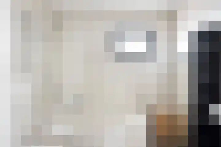 Heldens van de Mortellaan 8 Beesel thumbnail 14