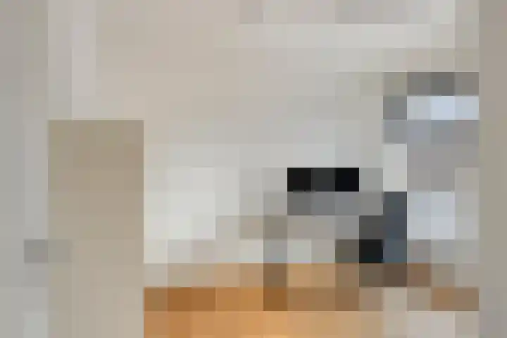 Heldens van de Mortellaan 8 Beesel thumbnail 17
