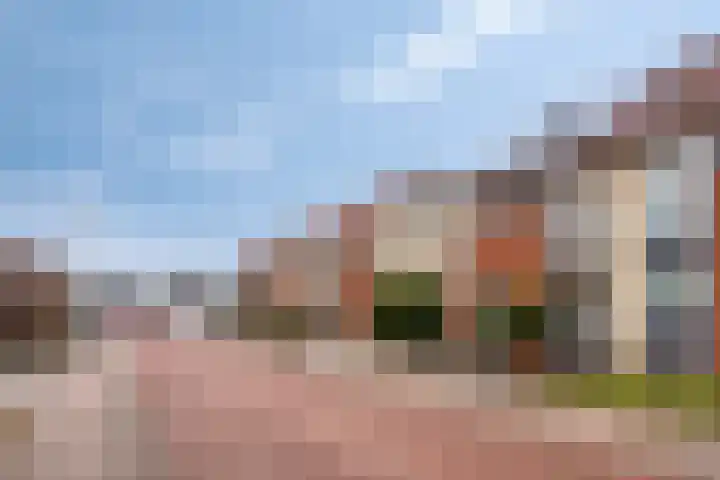 Heldens van de Mortellaan 8 Beesel foto 2