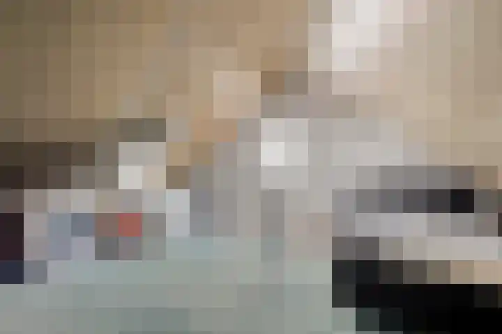 Heldens van de Mortellaan 8 Beesel thumbnail 22