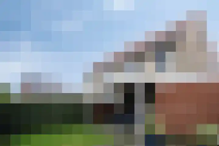 Heldens van de Mortellaan 8 Beesel thumbnail 26