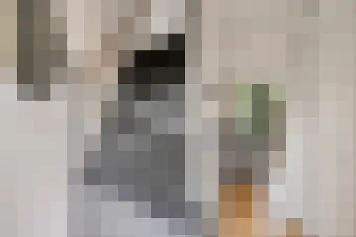 Heldens van de Mortellaan 8 Beesel foto 3