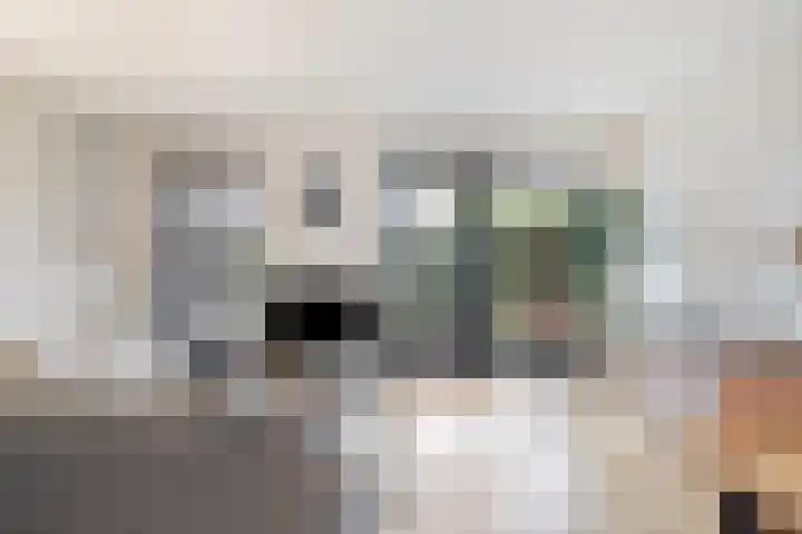 Heldens van de Mortellaan 8 Beesel thumbnail 6