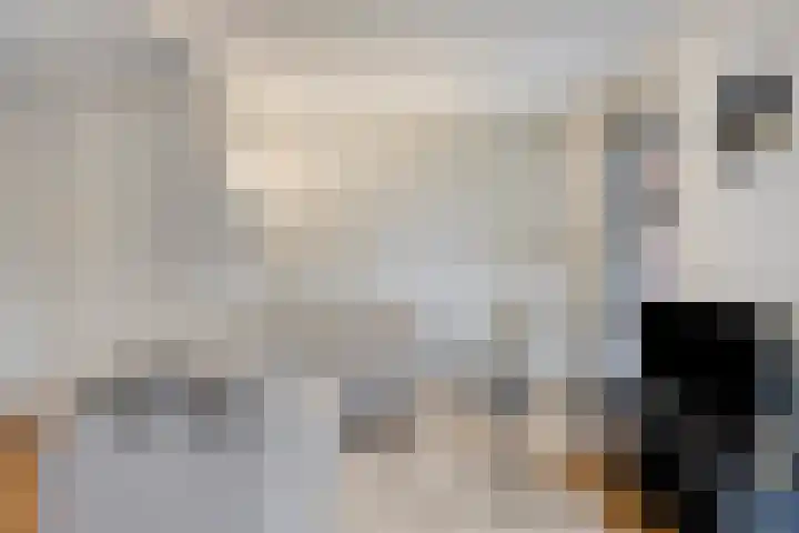 Heldens van de Mortellaan 8 Beesel thumbnail 8