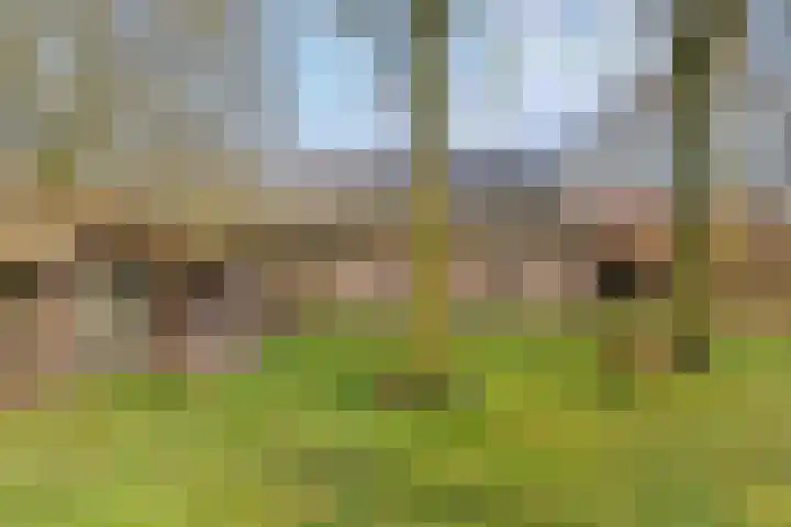 Heldensedijk 22 Meijel thumbnail 26