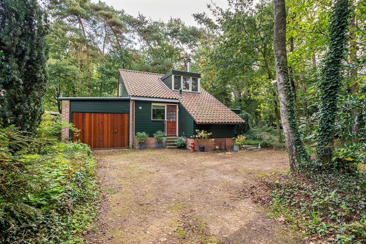 Helderse Duinen 6 in Overloon foto