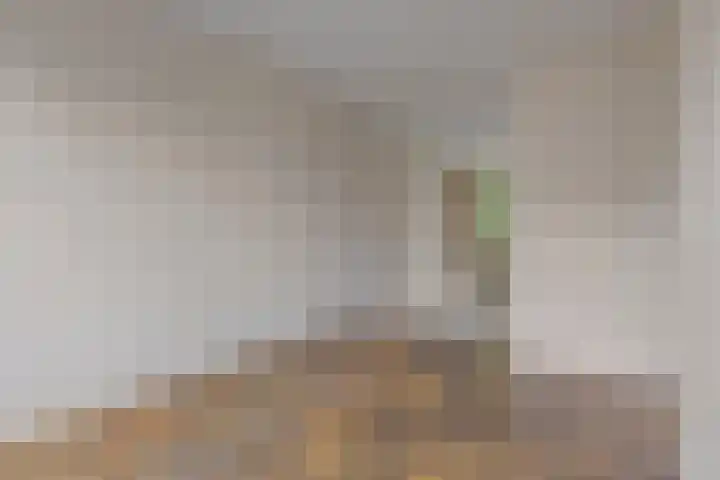Helfrichstraat 12 Borne thumbnail 14