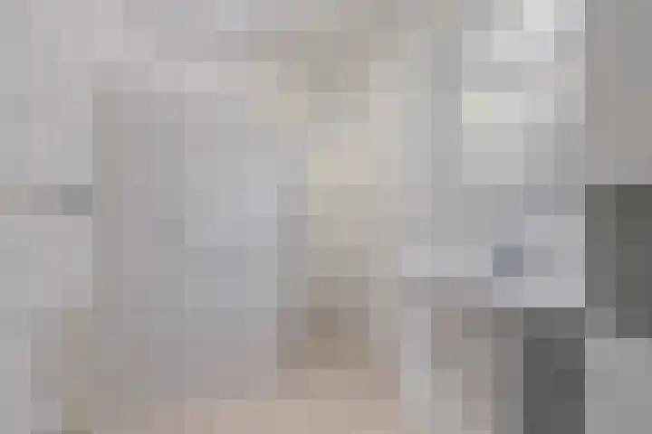 Helfrichstraat 12 Borne thumbnail 22