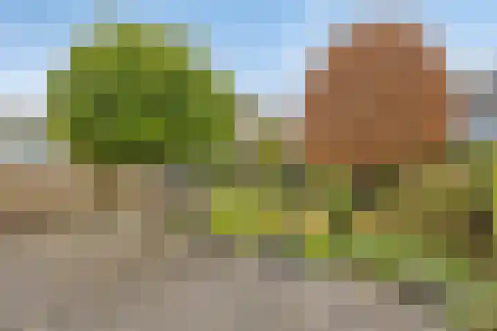Helfrichstraat 12 Borne thumbnail 35