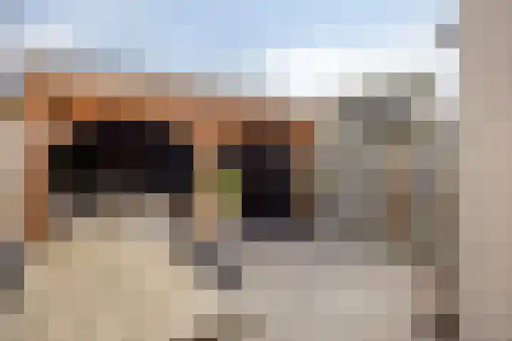 Helfrichstraat 7 Dongen thumbnail 25