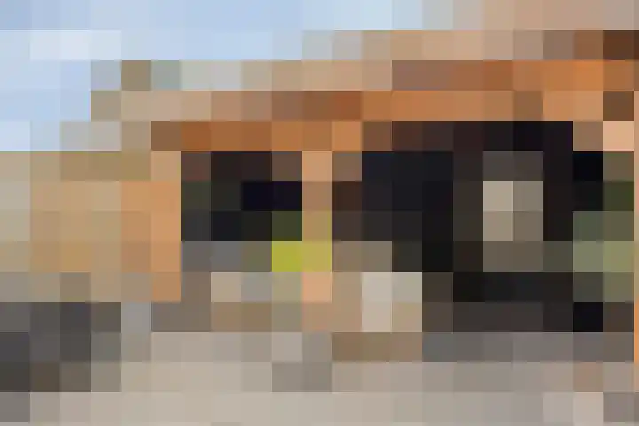 Helfrichstraat 7 Dongen thumbnail 6