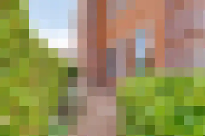 Heliotroop 23 Rhoon thumbnail 16
