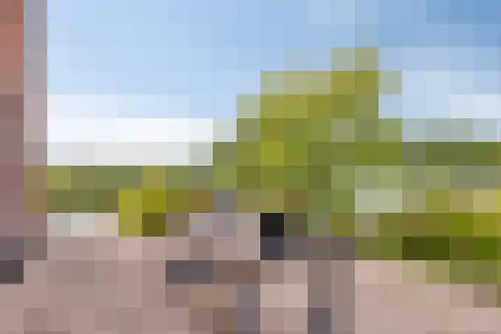 Heliotroop 23 Rhoon thumbnail 18