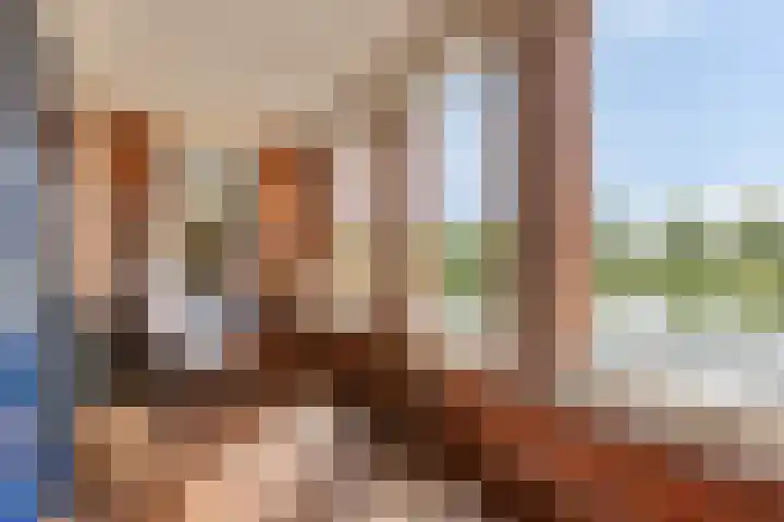 Heliotroop 23 Rhoon thumbnail 23