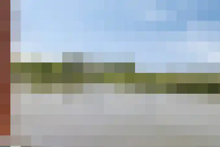 Heliotroop 23 Rhoon thumbnail 24