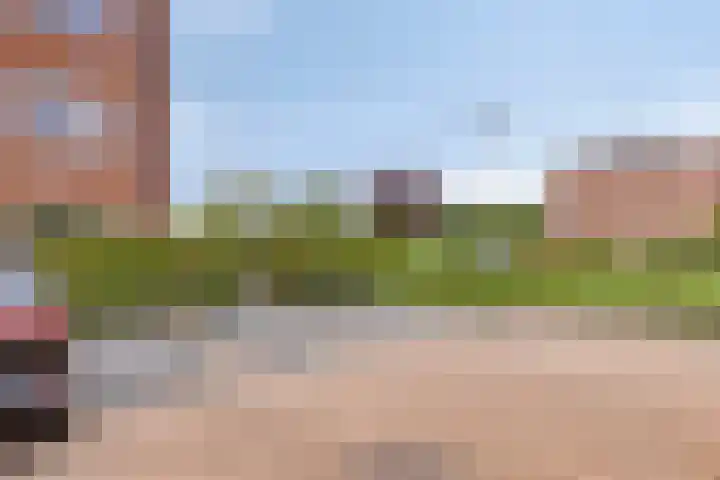 Heliotroop 23 Rhoon thumbnail 39